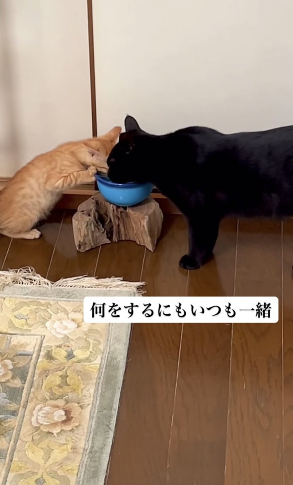 「何をするにも...」のテロップ写真