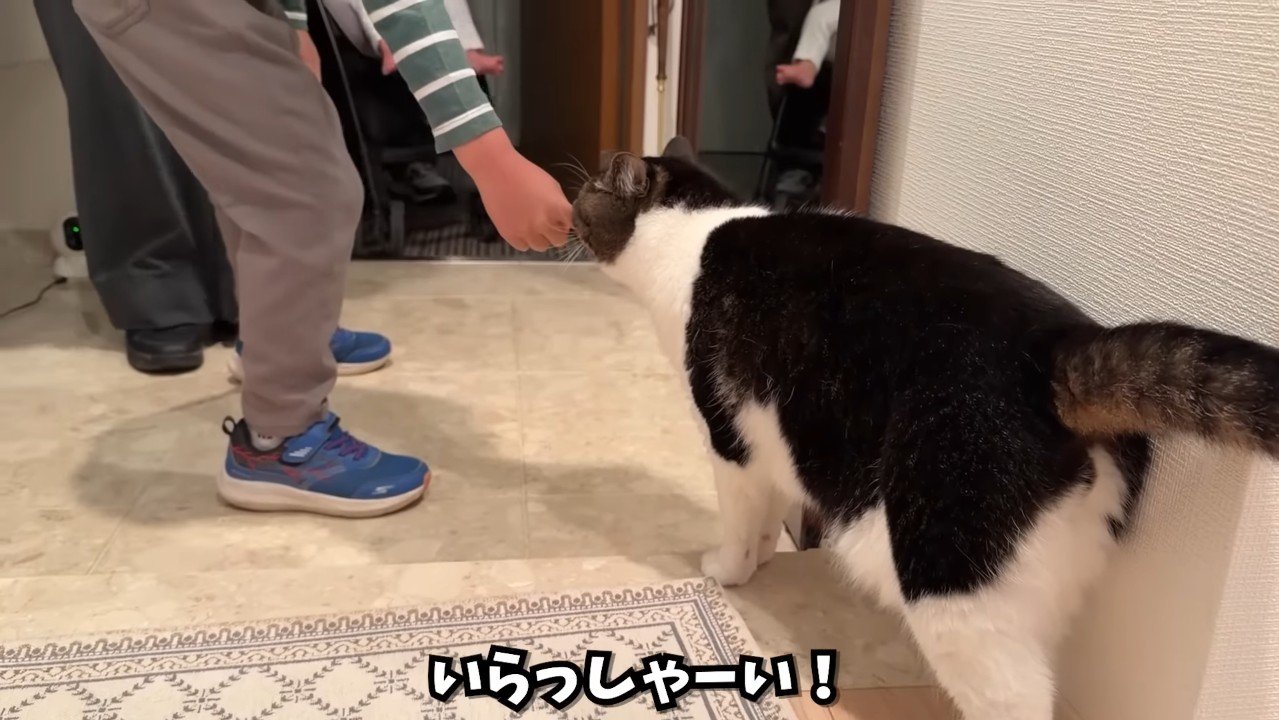 いらっしゃーい！