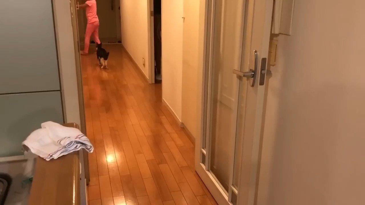 廊下の奥まで