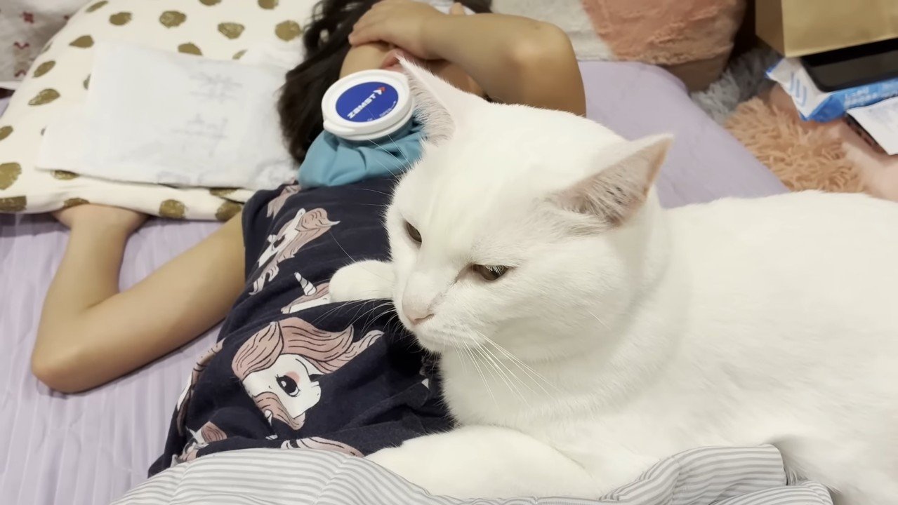 お腹の上に