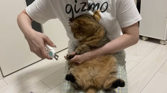 爪をきる飼い主さん