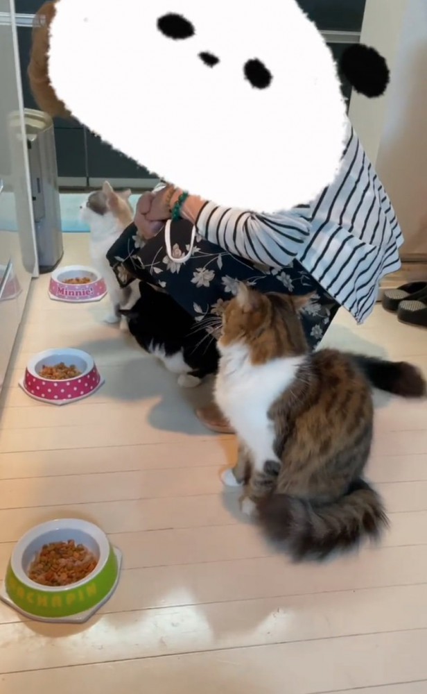 おばあちゃんの話を聞く