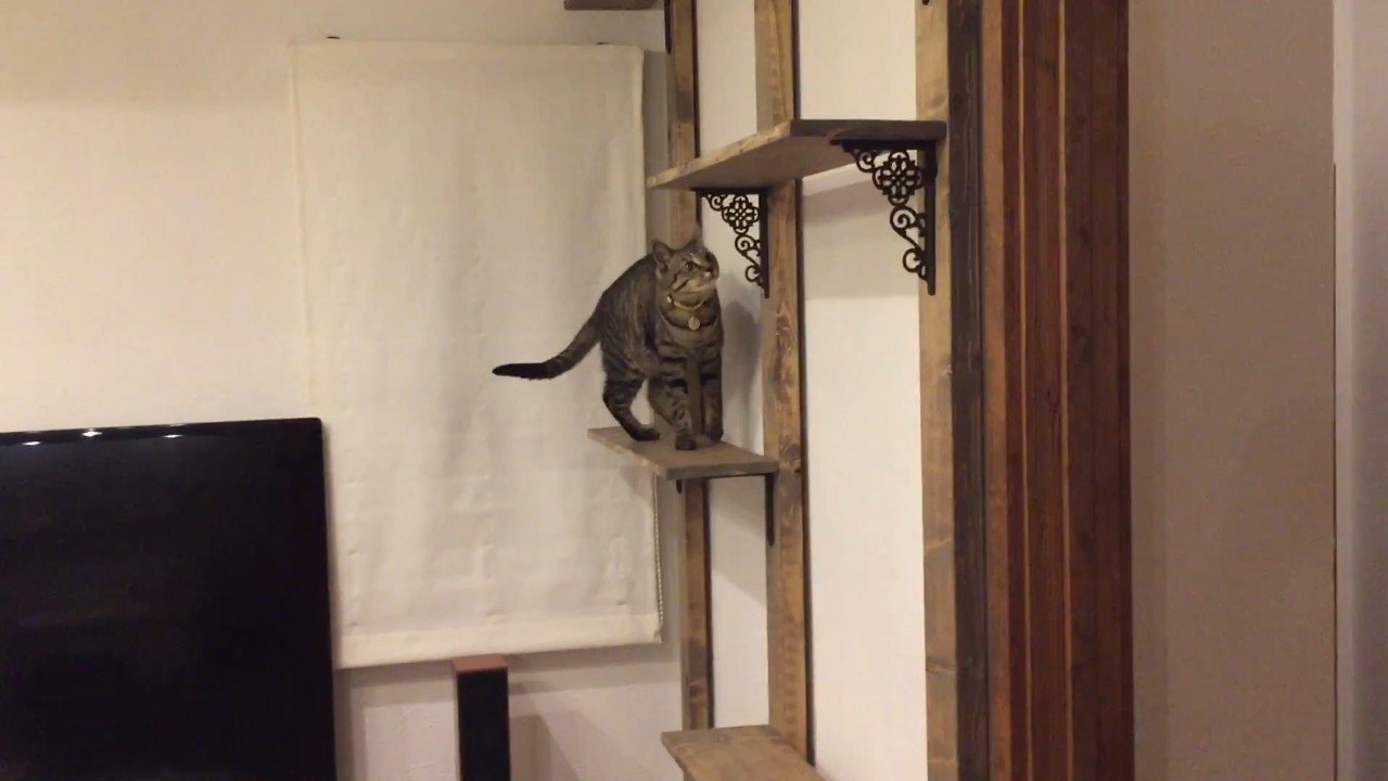 登り中