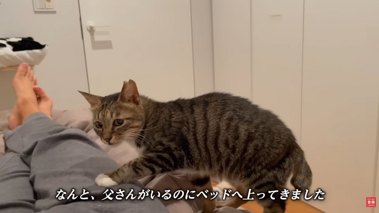 テロップ「なんと、父さんがいるのに～」