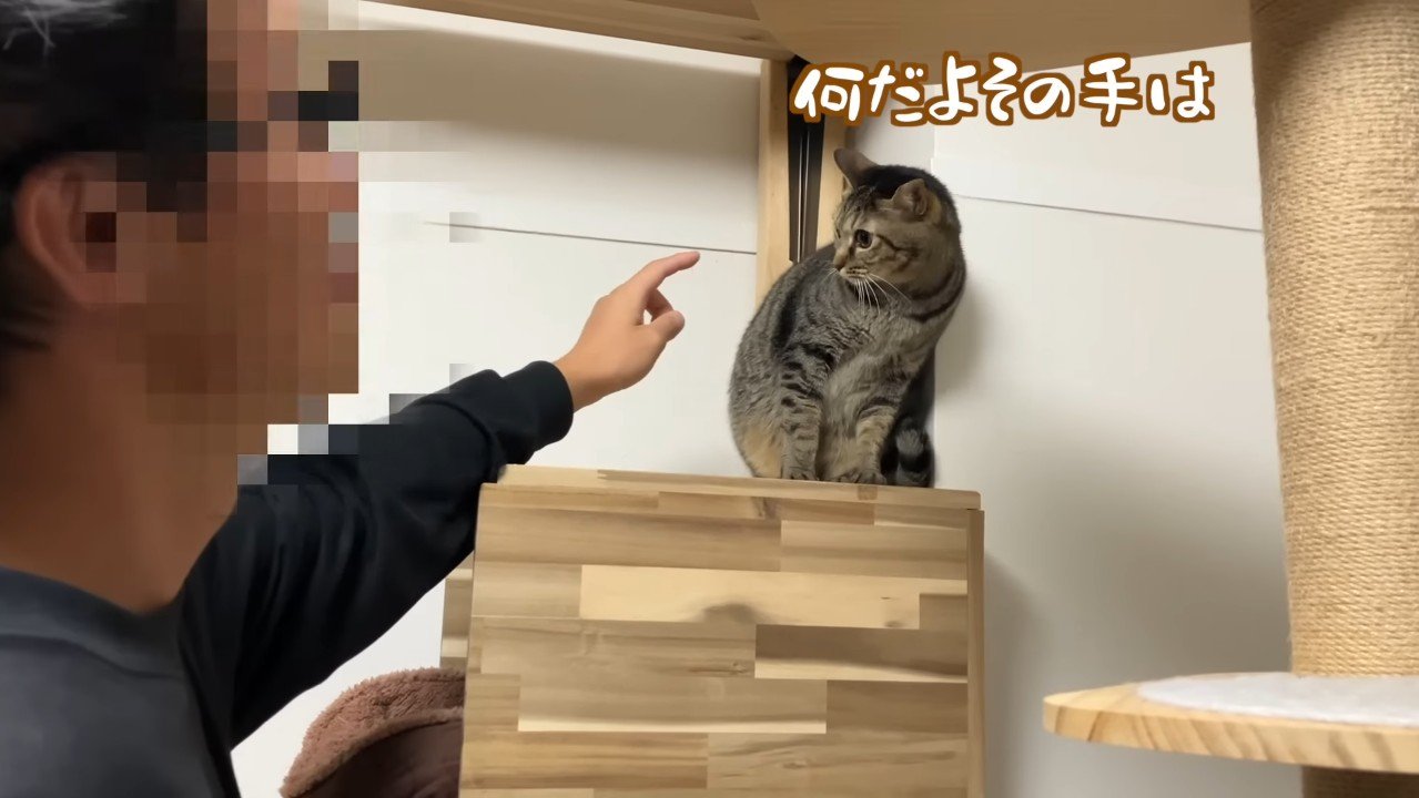 何だよその手は