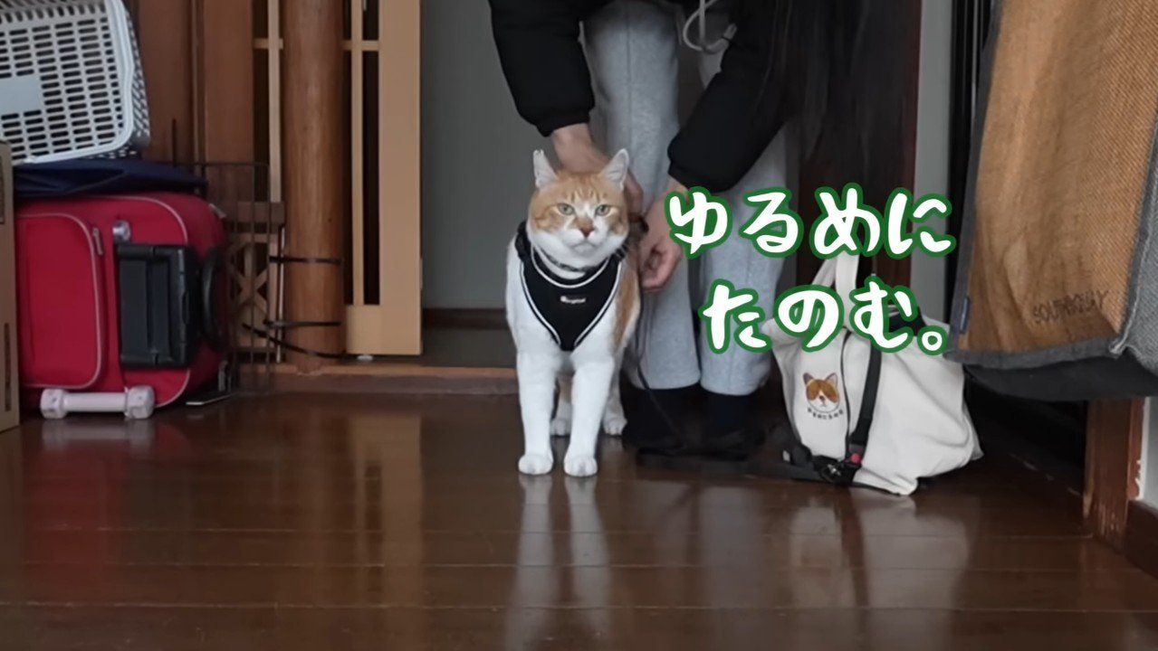 ゆるめにたのむ。