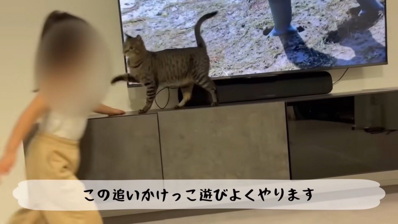 テロップ「この追いかけっこ～」