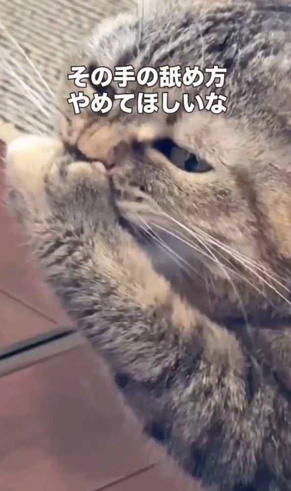 「その手の～」と書かれた写真1