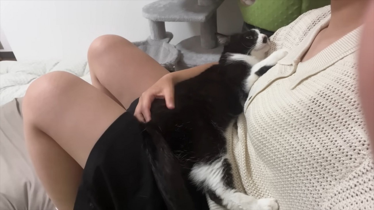 抱っこされるくろまめちゃん