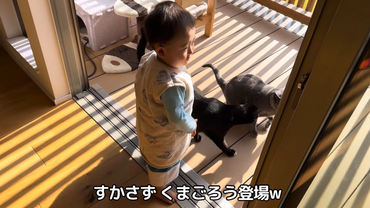 テロップ「すかさず～」