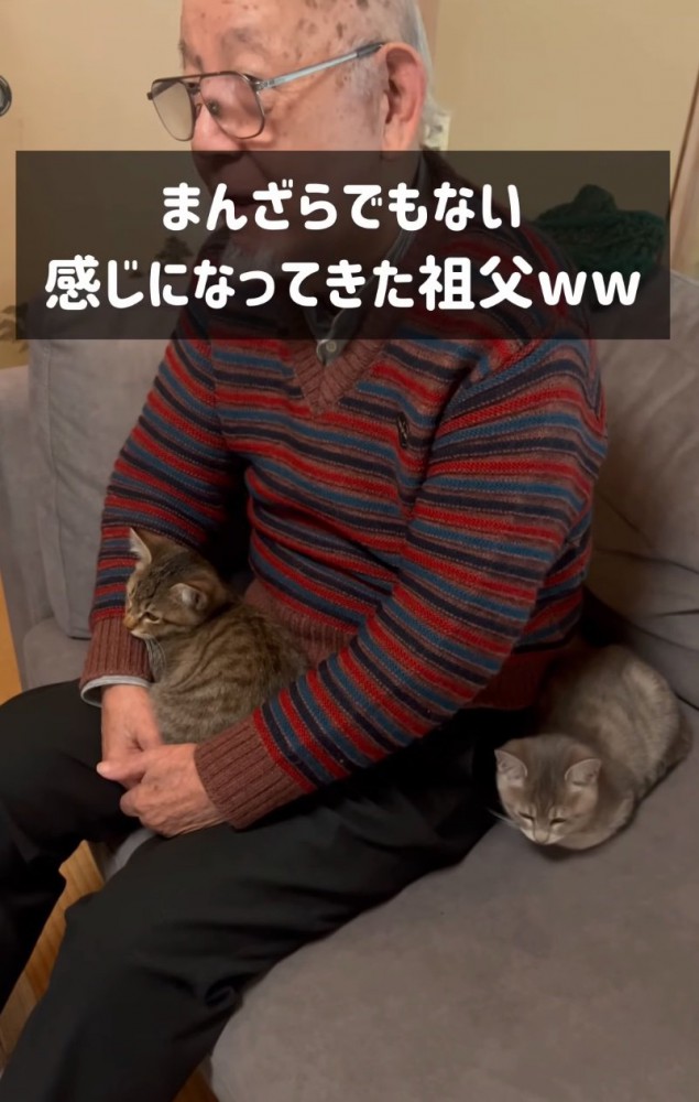子猫を腕に抱くおじいちゃん