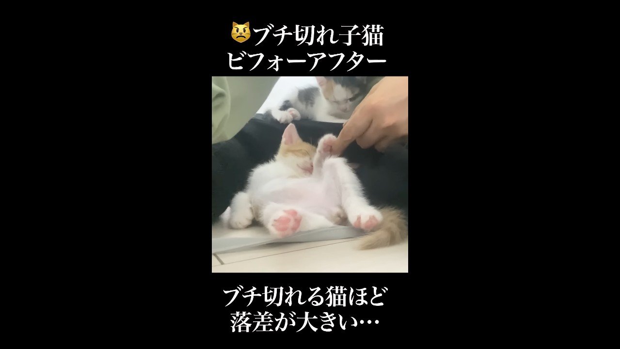 落差が大きい