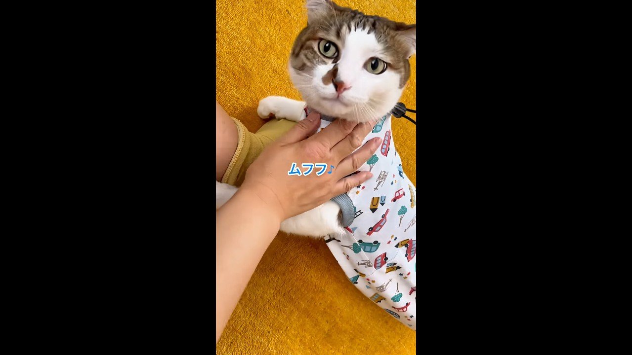 ムフフ♪