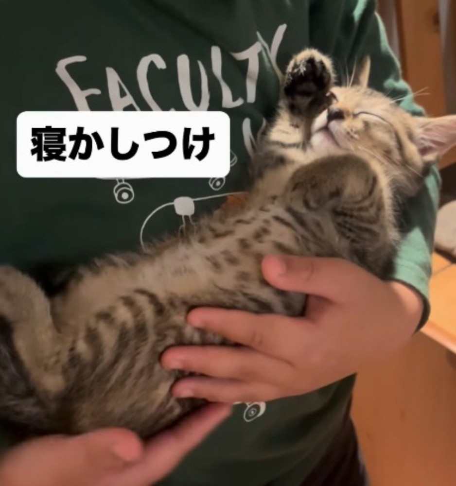 仰向けになって男の子に抱っこされている子猫