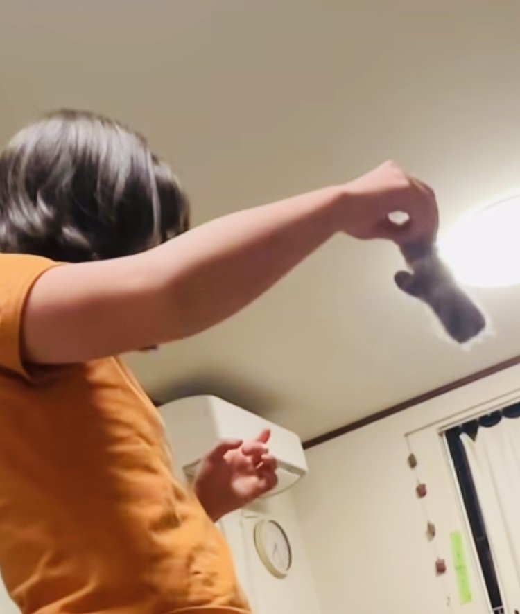 三毛猫に手袋を振って見せる娘さん