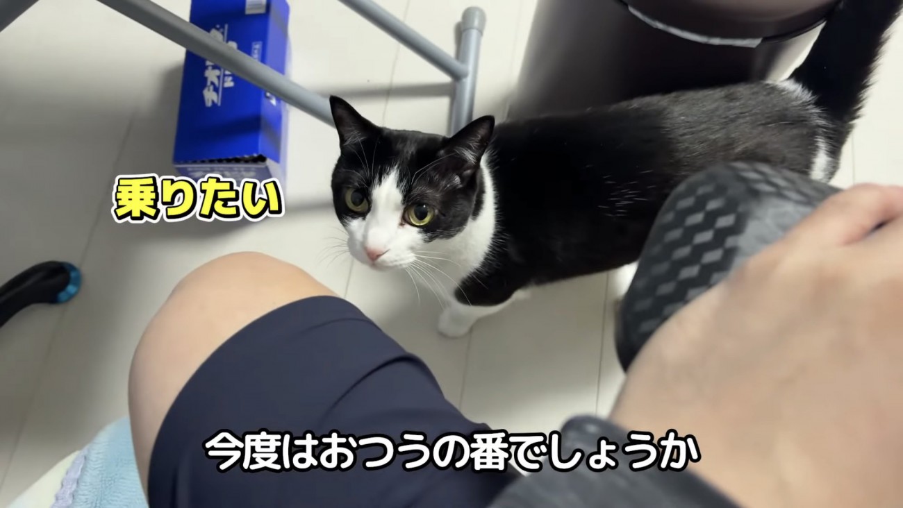 「乗りたい」のテロップ写真