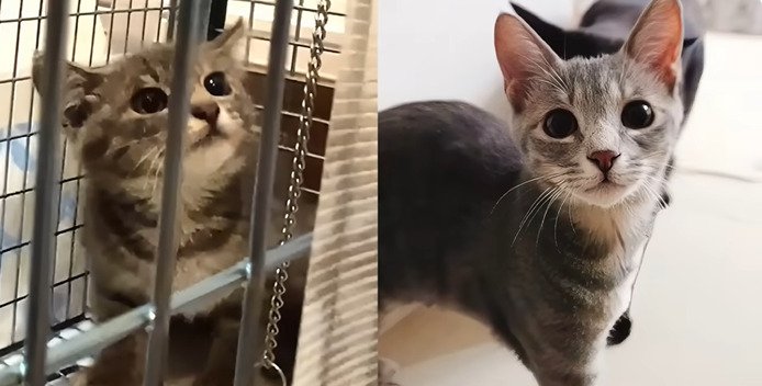 保護当時と成長後