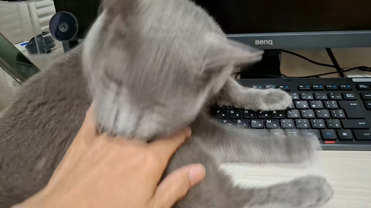 咬みつき中