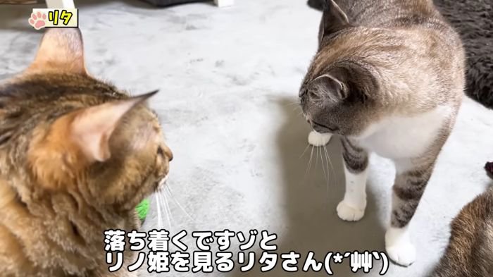 リタさんに諭されるリノ姫
