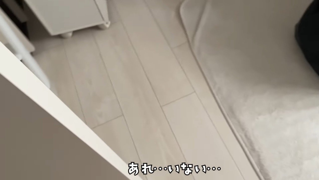 あれ…いない…