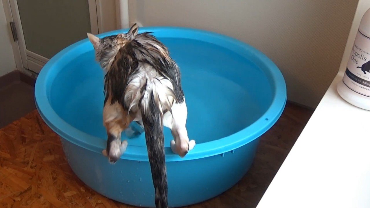 後ろ姿(両足をフチに)