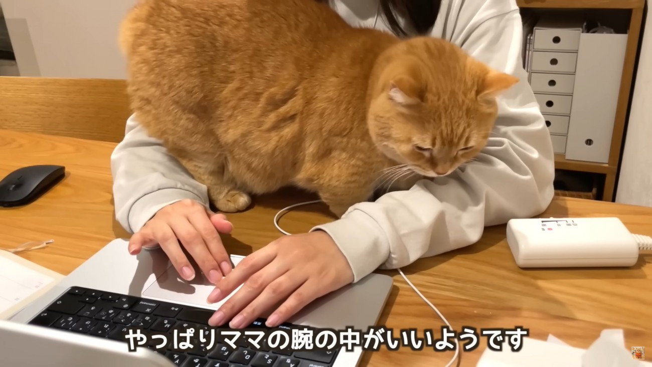 テロップ「やっぱりママの～」