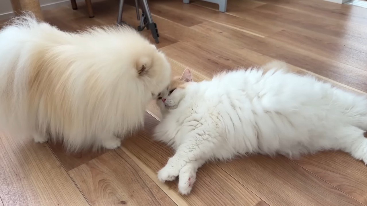 顔を寄せるふたり