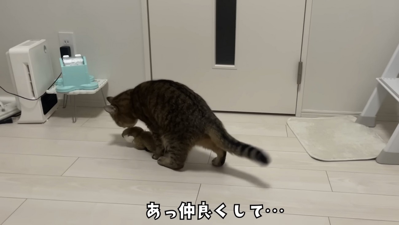 「あっ仲良くして...」のテロップ写真