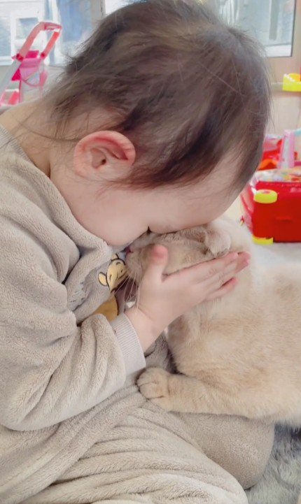 顔を寄せる女の子と猫