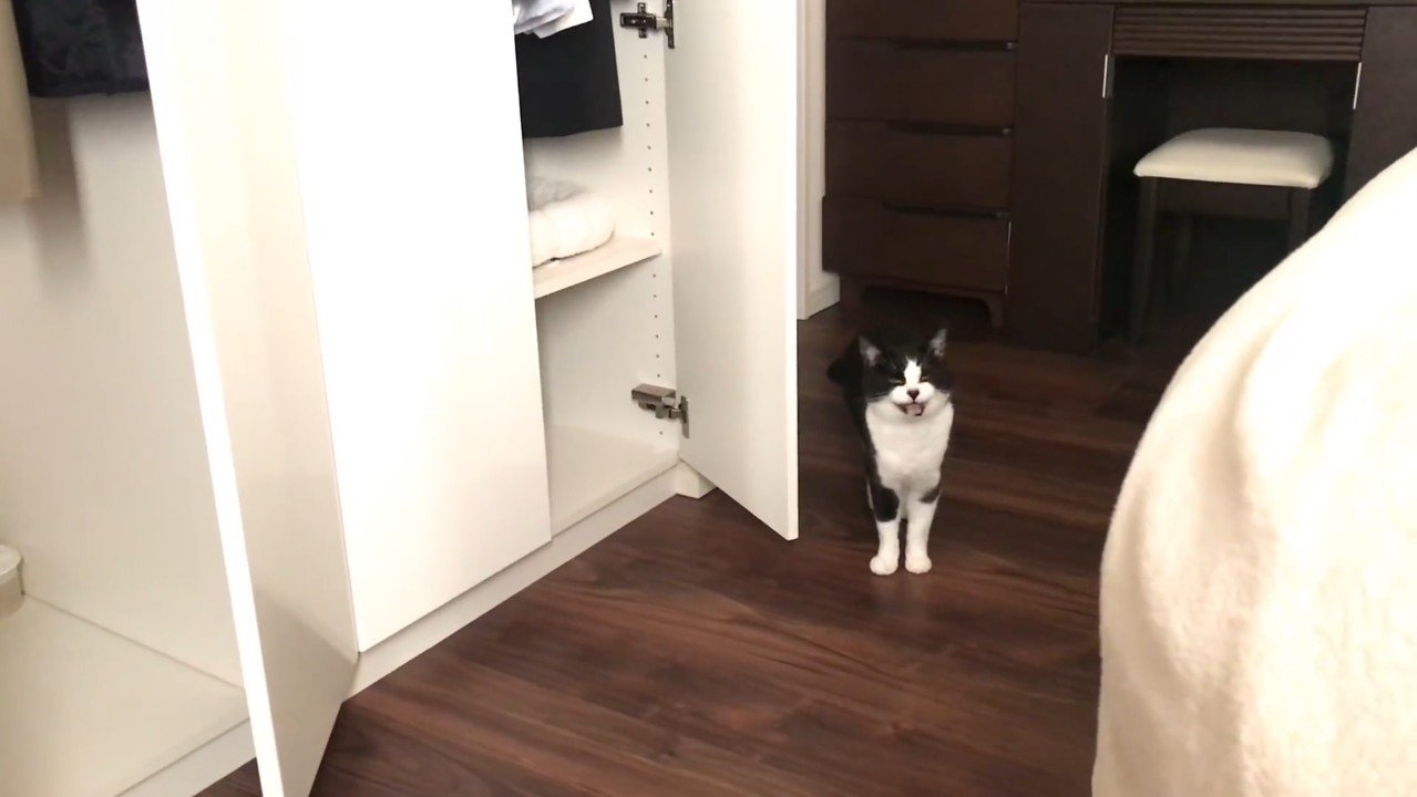 鳴いているおむすびちゃん