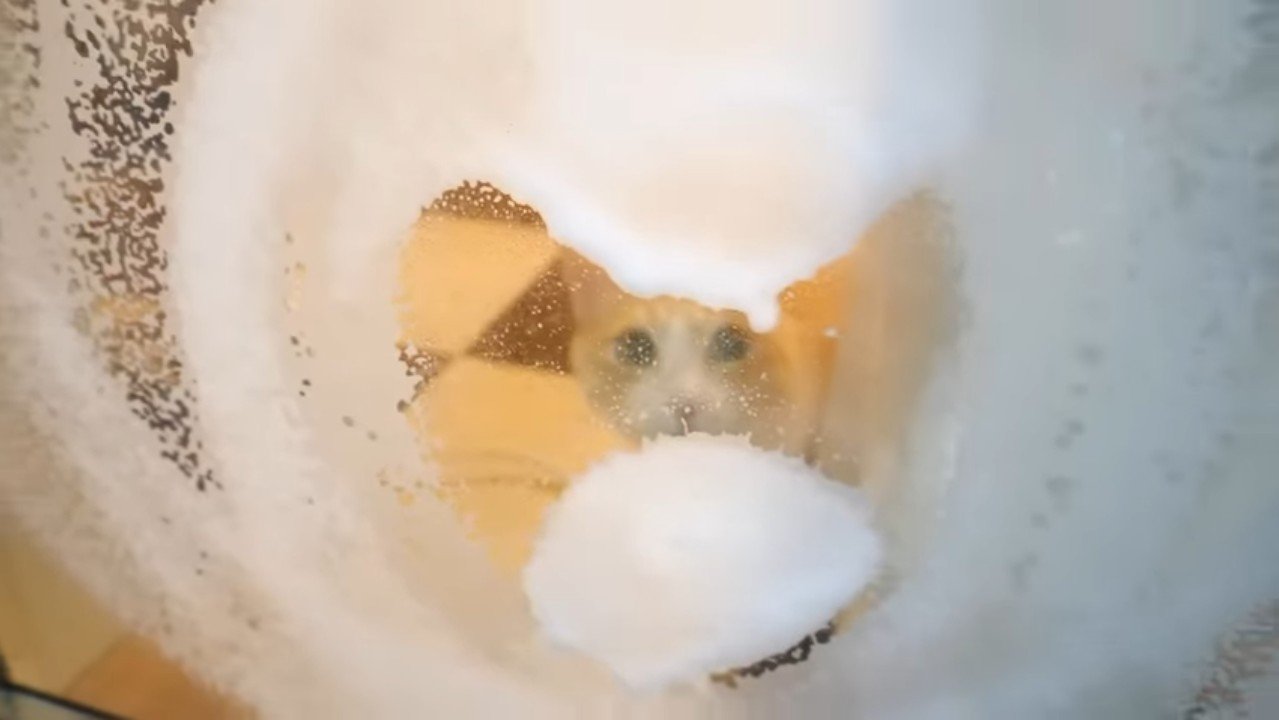 泡とロビンくん