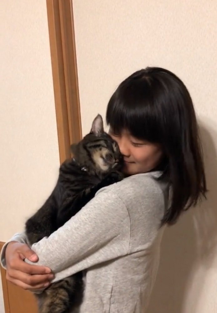 顔をすり寄せる猫4