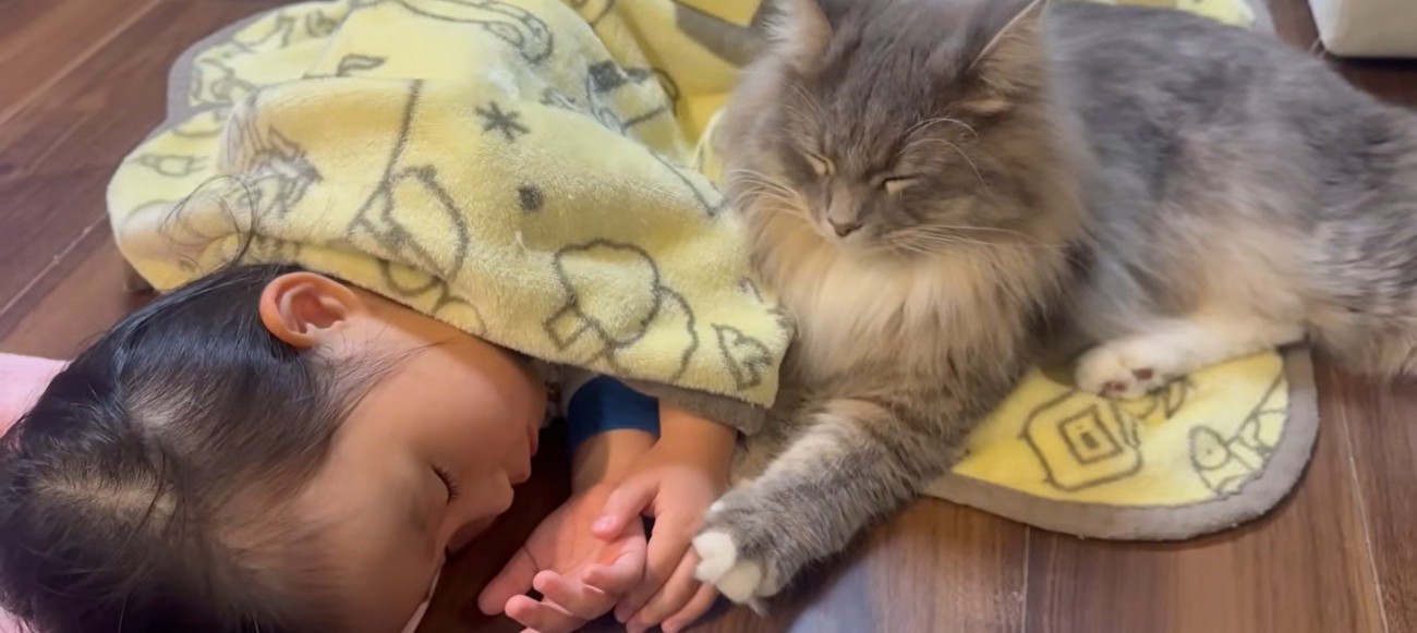寝ている子どもと猫