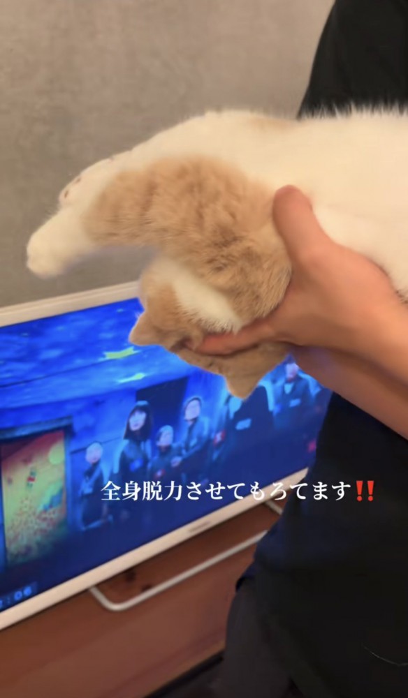 「全身脱力させてもろてます」のテロップ写真1