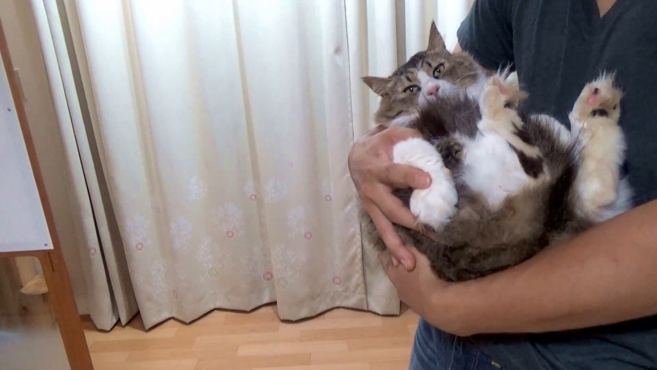 横抱きのアップ