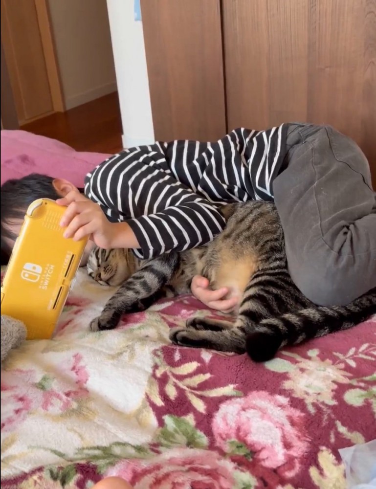 猫のお腹を触る男の子
