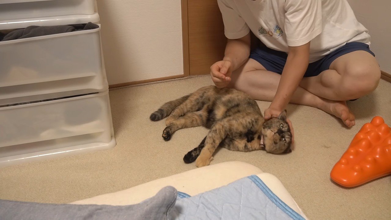 なでなで