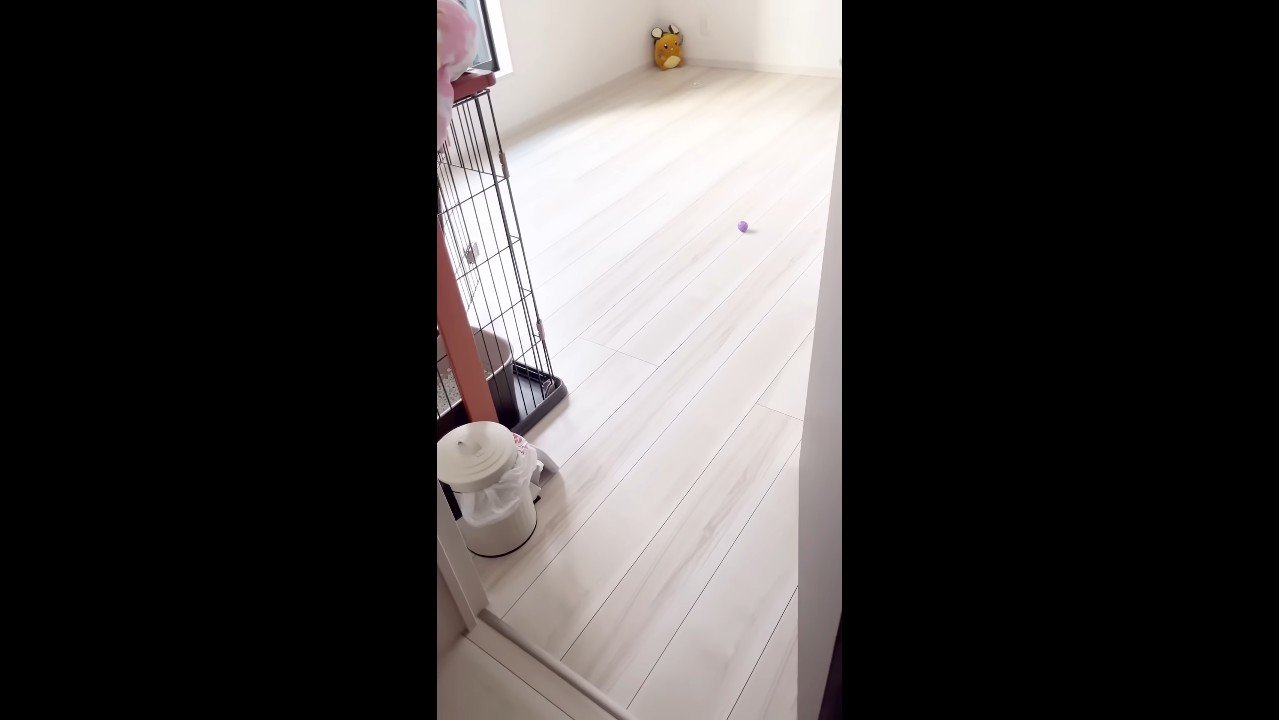 お部屋