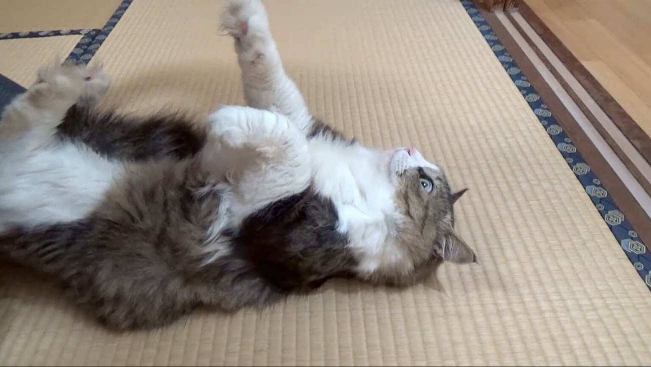 手をはなしたところ