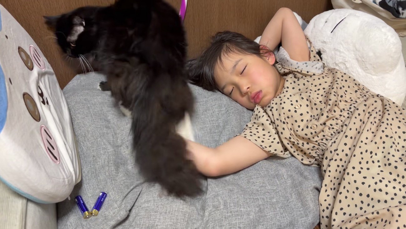 体勢を整える梅ちゃん