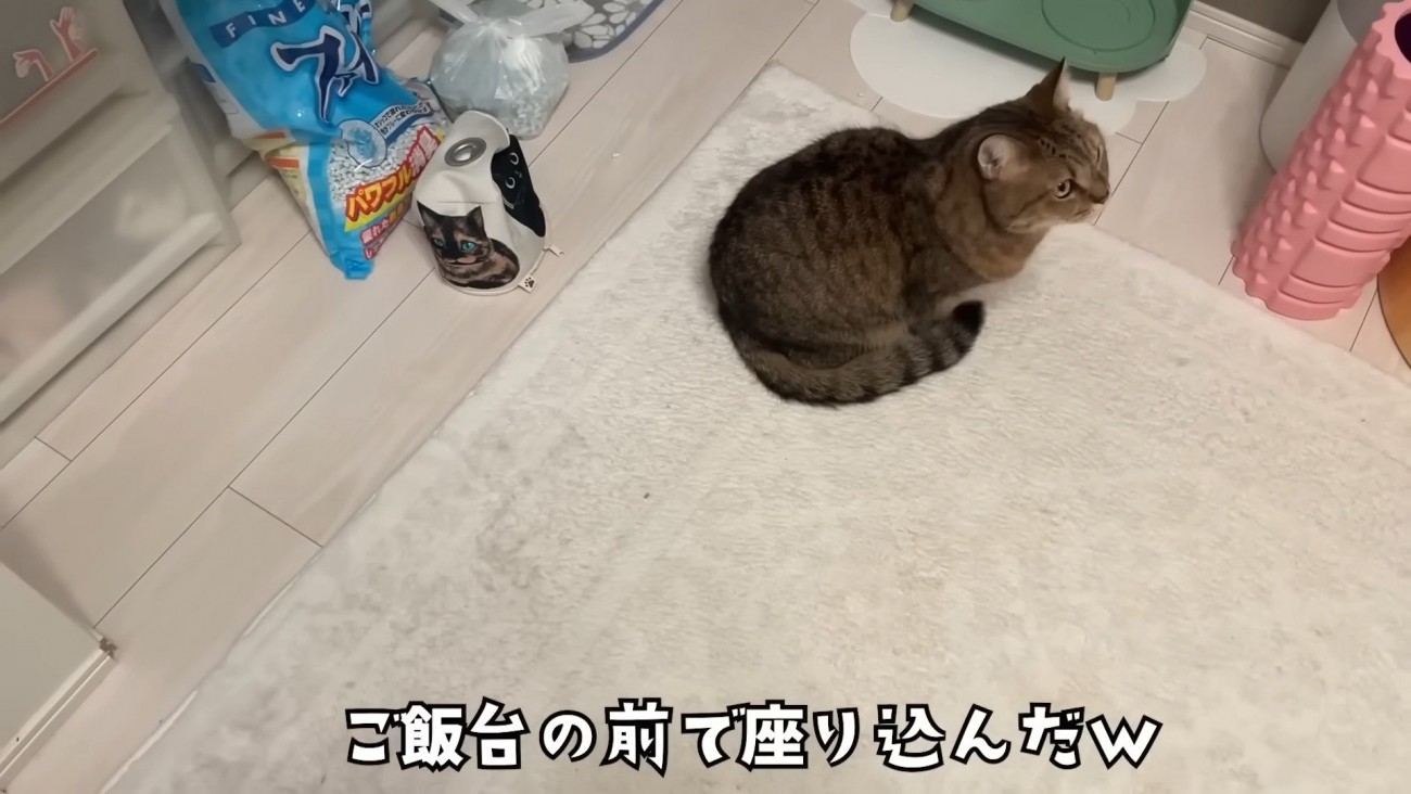 器の前で座り込み
