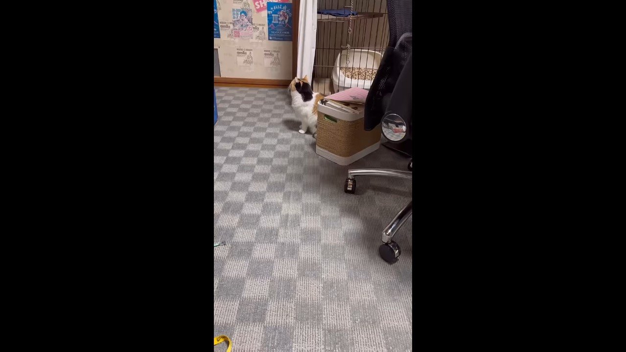 そっぽを向く姿
