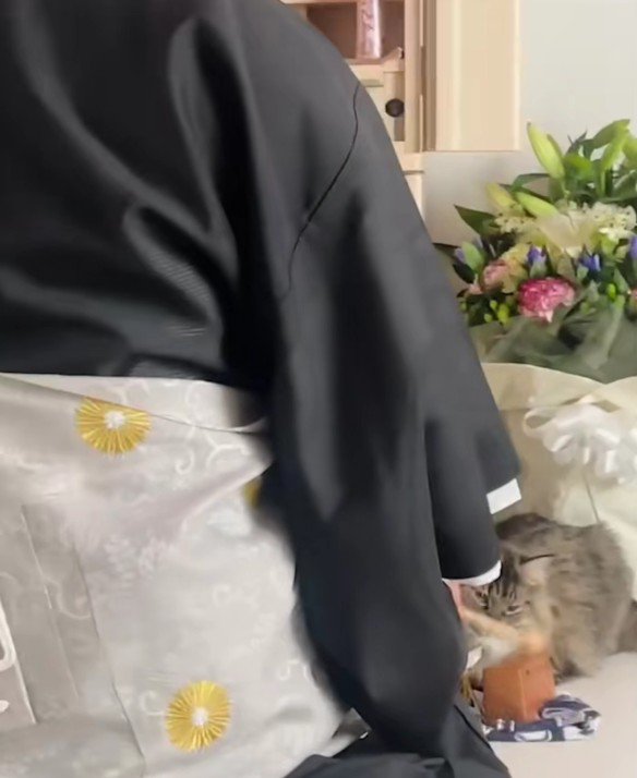 お坊さんと猫