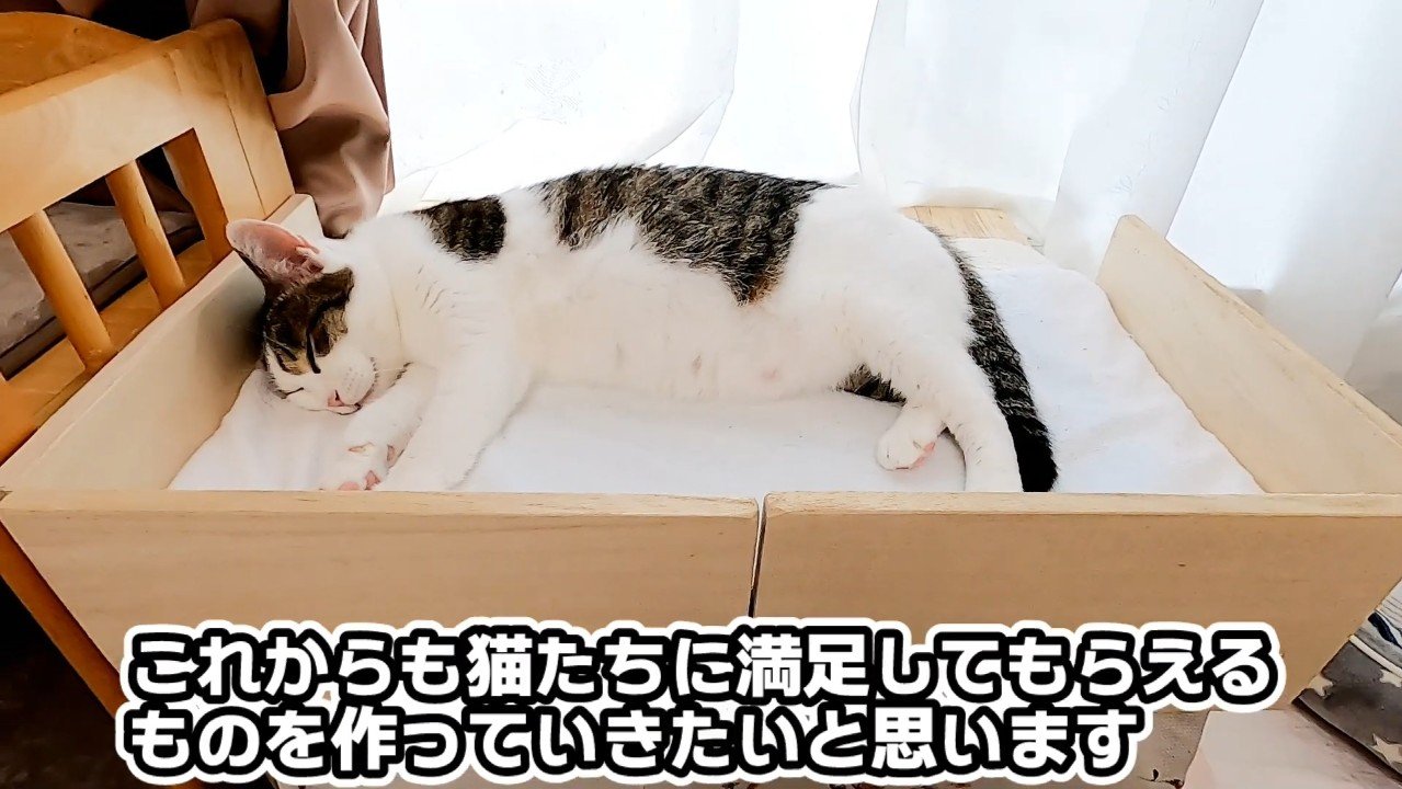 眠るメイちゃん