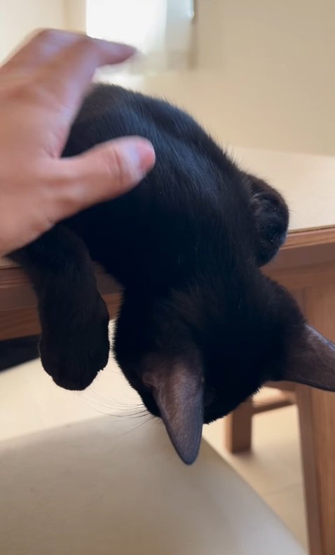 無反応