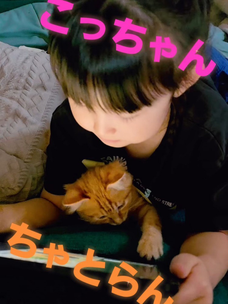 子どもと子猫