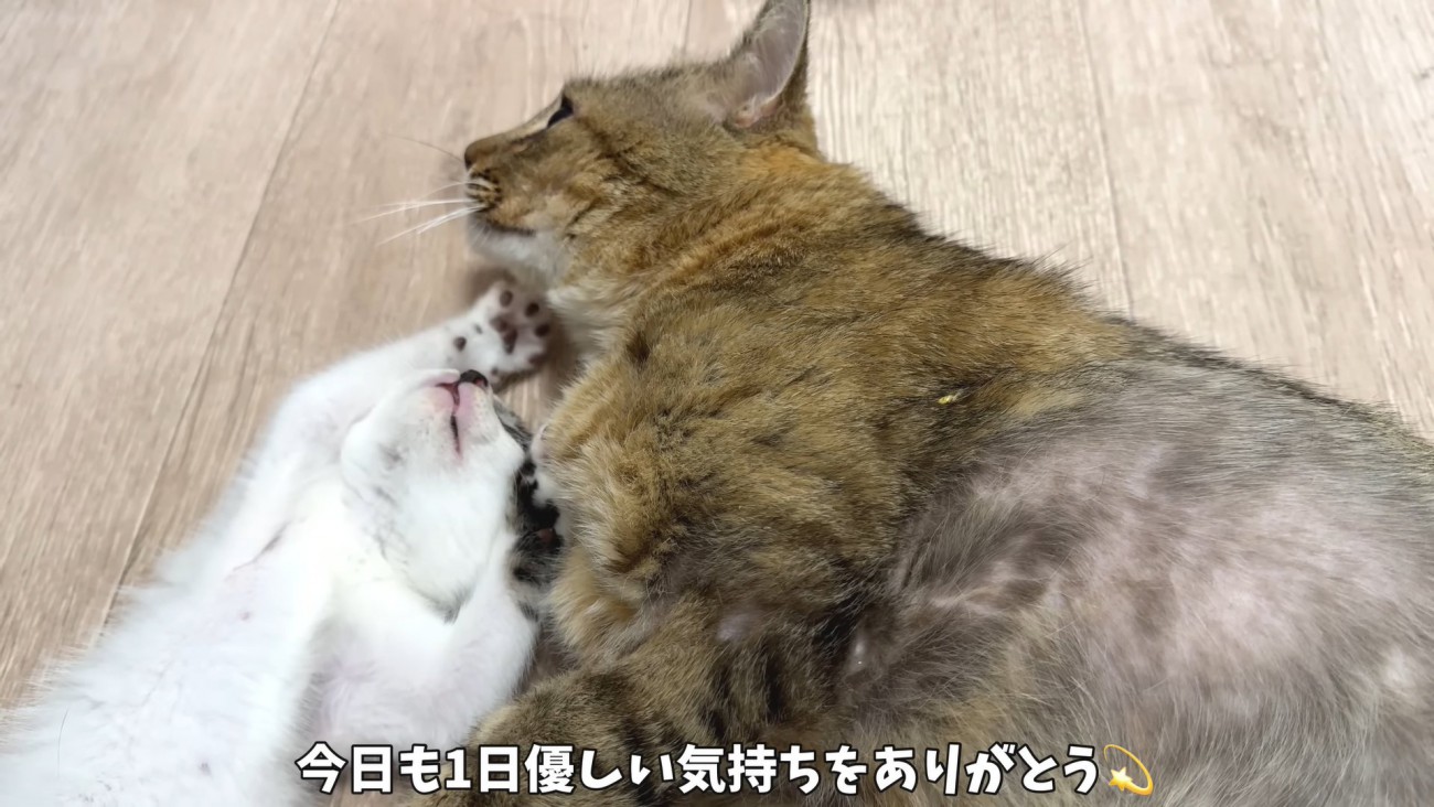 テロップ「今日も一日～」