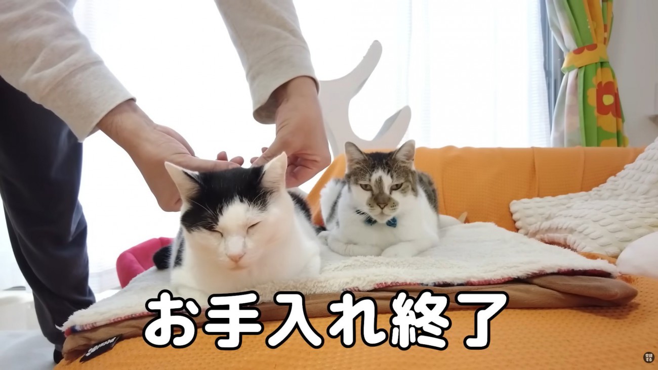 テロップ「お手入れ終了」