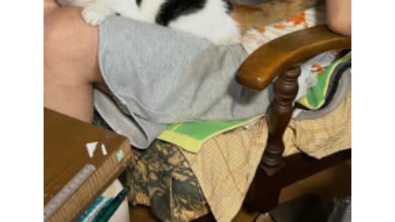 男性と猫