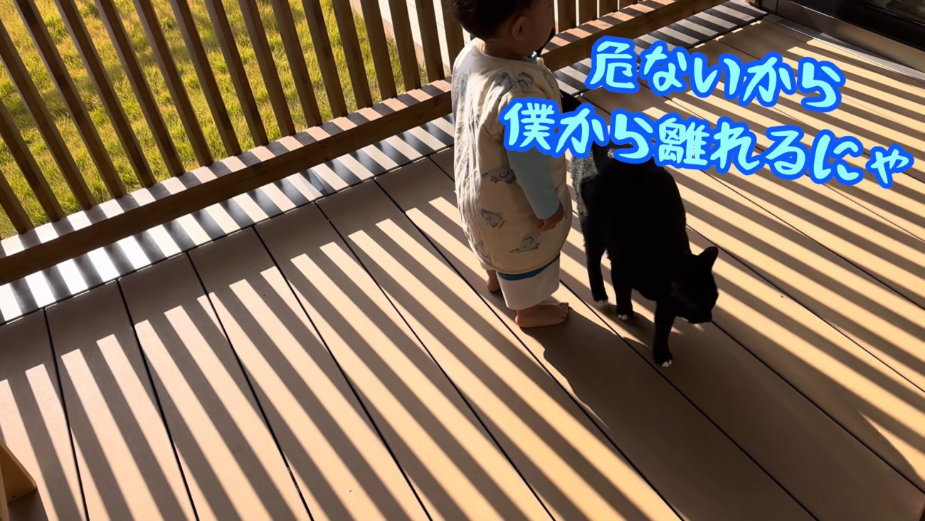 テロップ「危ないから～」